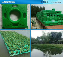 江蘇人工生態(tài)浮島與廊坊聚格塑料制品廠戶外地板應(yīng)用圖解